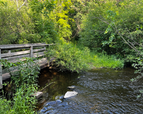 Ice Age Trail: Crooked Lake to Hwy H